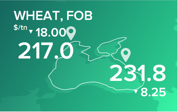 Пшеница. Цены в портах на 12 февраля 2024