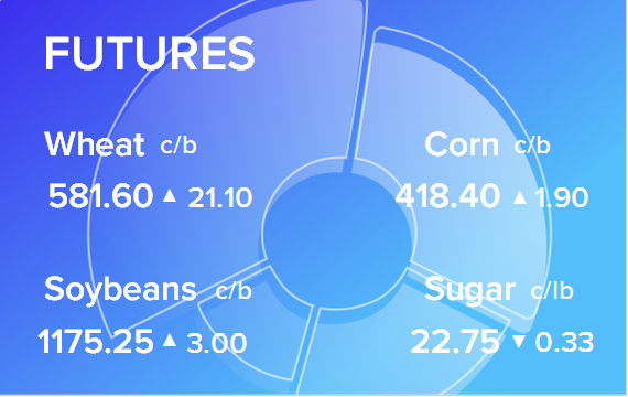 Обзор товарных рынков на 21 февраля 2024