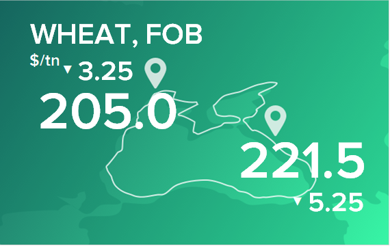 Пшеница. Цены в портах на 26 февраля 2024
