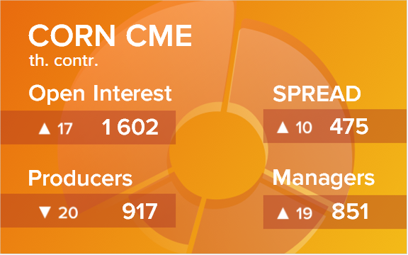 Кукуруза. Открытый интерес на 3 февраля 2024