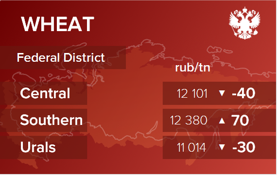 Обзор цен EXW по регионам РФ за неделю с 29 января по 2 февраля 2024