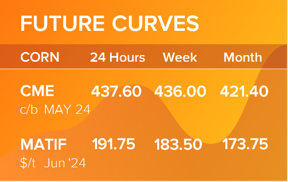 Кукуруза. Фьючерсные кривые на 25 марта 2024