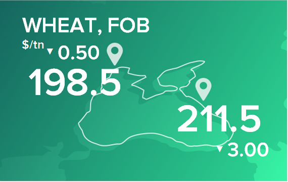 Пшеница. Цены в портах на 11 марта 2024