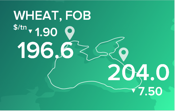 Пшеница. Цены в портах на 18 марта 2024