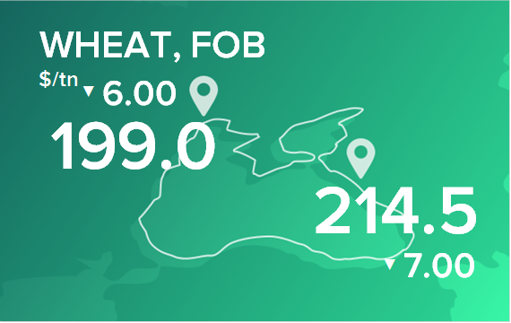 Пшеница. Цены в портах на 4 марта 2024