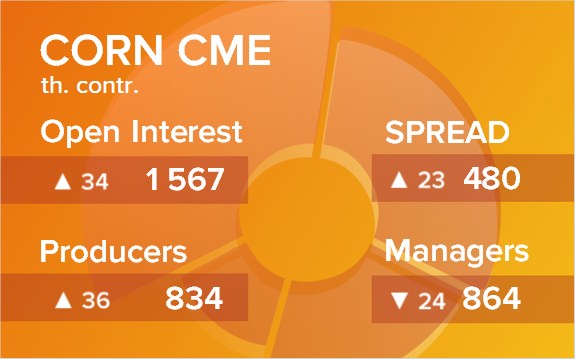 Кукуруза. Открытый интерес на 23 марта 2024
