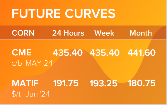 Кукуруза. Фьючерсные кривые на 8 апреля 2024