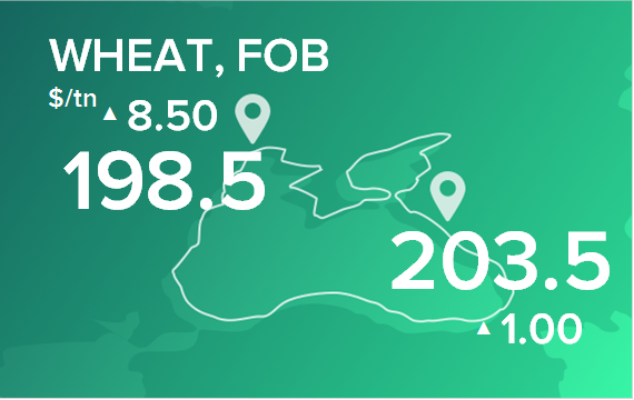 Пшеница. Цены в портах на 1 апреля 2024