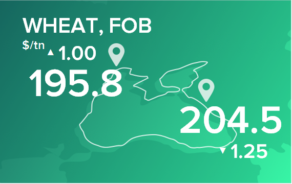 Пшеница. Цены в портах на 15 апреля 2024