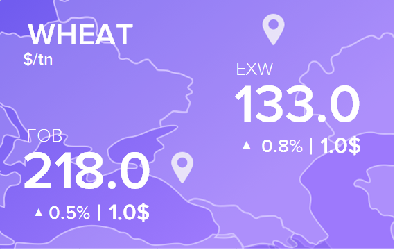 Цены FOB и EXW на 24 апреля 2024. Пшеница. Кукуруза