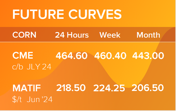 Кукуруза. Фьючерсные кривые на 27 мая 2024