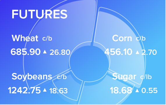 Обзор товарных рынков на 21 мая 2024