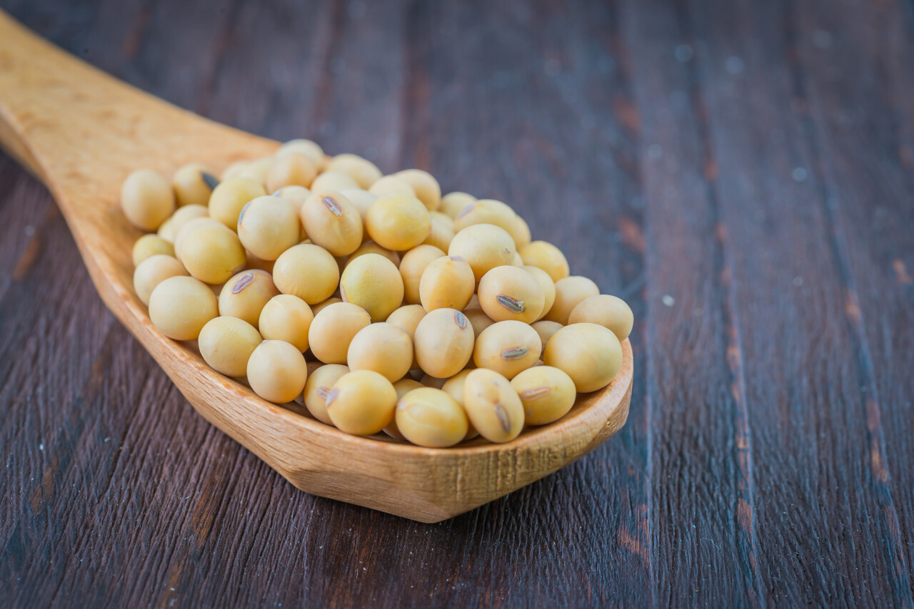 USDA. Масличные культуры: мировые рынки и торговля на 10 мая 2024