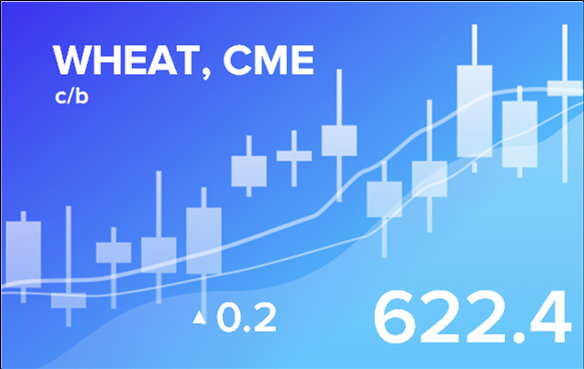 Price forecast from 6 to 10 May 2024