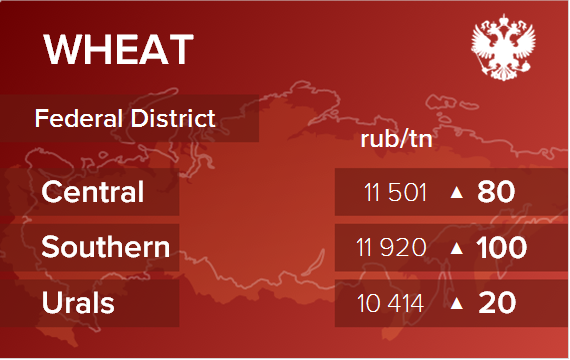 Обзор цен EXW по регионам РФ за неделю с 13 по 17 мая 2024