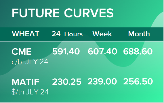 Пшеница. Фьючерсные кривые на 17 июня 2024