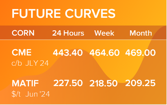Кукуруза. Фьючерсные кривые на 3 июня 2024