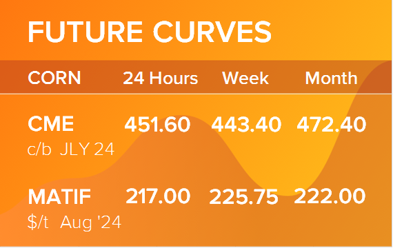 Кукуруза. Фьючерсные кривые на 10 июня 2024