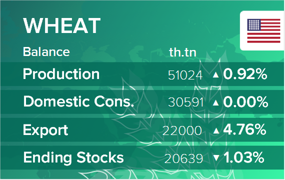 USDA. Баланс по пшенице на 13 июня 2024. США