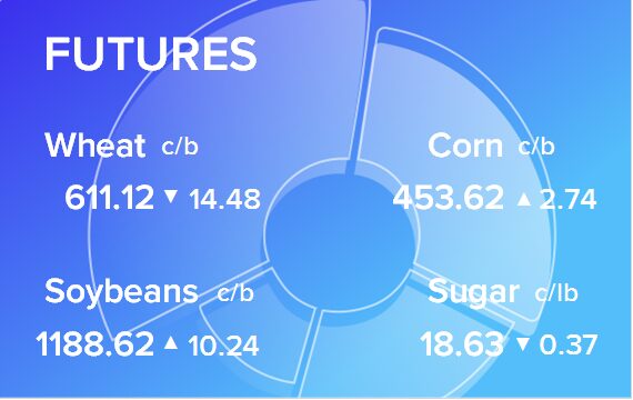 Обзор товарных рынков на 11 июня 2024