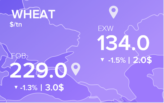 Цены FOB и EXW на 21 июня 2024. Пшеница. Кукуруза