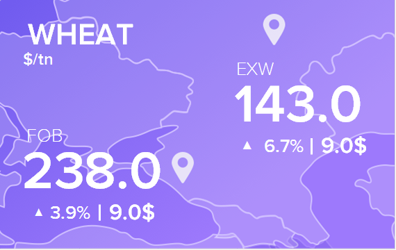 Цены FOB и EXW на 24 июня 2024. Пшеница. Кукуруза