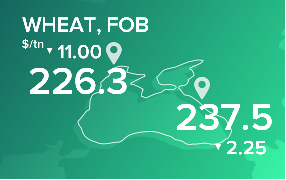 Пшеница. Цены в портах на 24 июня 2024