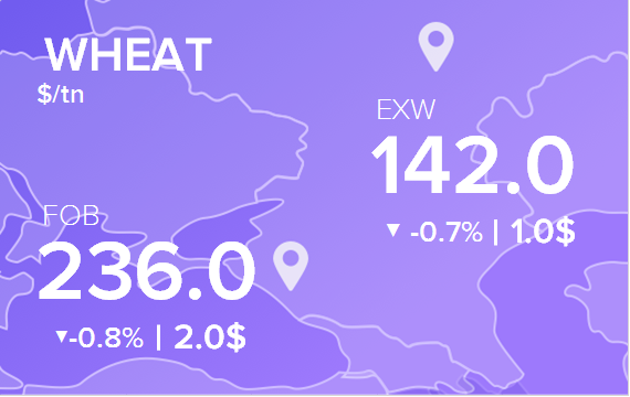 Цены FOB и EXW на 25 июня 2024. Пшеница. Кукуруза