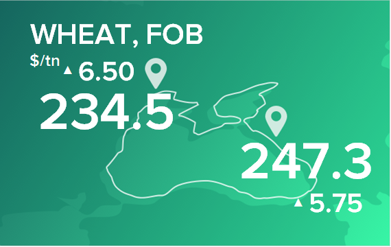 Пшеница. Цены в портах на 3 июня 2024