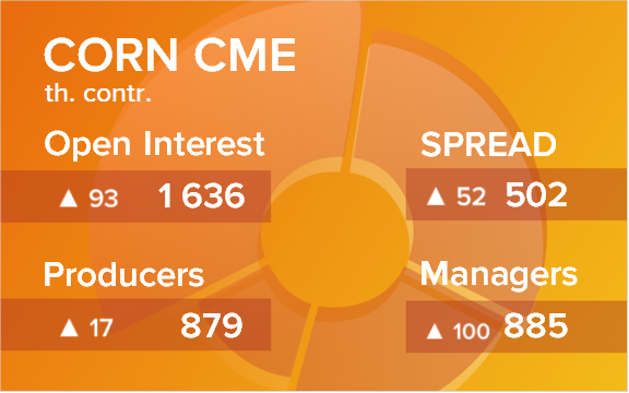 Кукуруза. Открытый интерес на 8 июня 2024