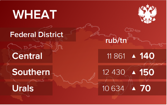 Обзор цен EXW по регионам РФ за неделю с 10 по 14 июня 2024