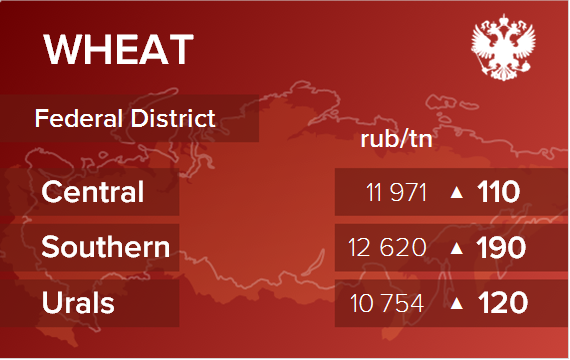 Обзор цен EXW по регионам РФ за неделю с 17 по 21 июня 2024