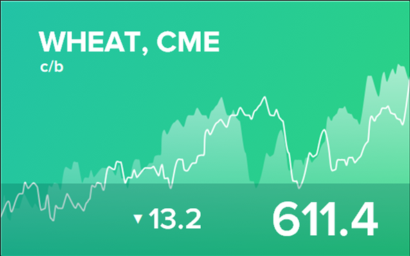 Прогноз биржевых цен на 11 июня 2024
