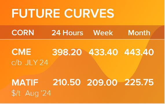Кукуруза. Фьючерсные кривые на 1 июля 2024
