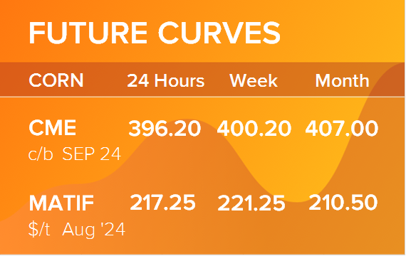 Кукуруза. Фьючерсные кривые на 29 июля 2024