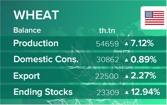 USDA. Баланс по пшенице на 15 июля 2024. США