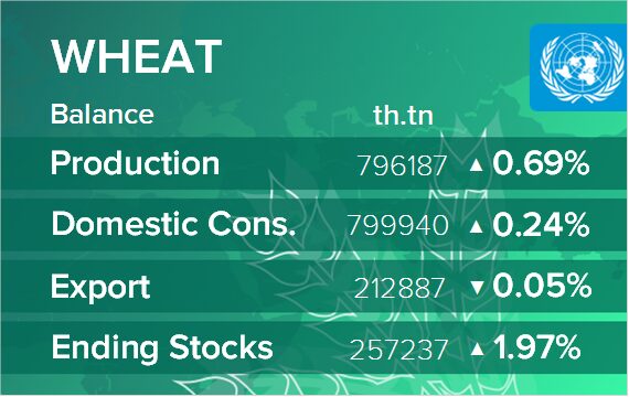 USDA. Баланс по пшенице на 13 июля 2024. Мир