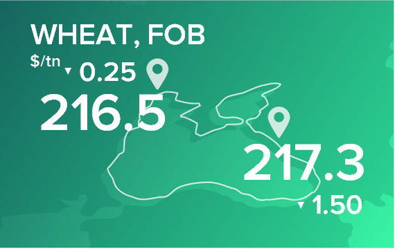 Пшеница. Цены в портах на 15 июля 2024