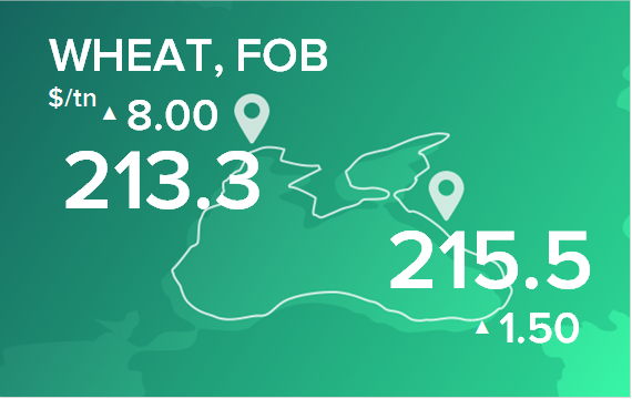Пшеница. Цены в портах на 29 июля 2024