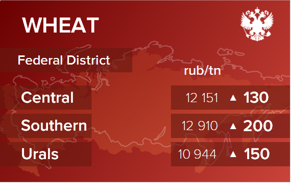 Обзор цен EXW по регионам РФ за неделю с 1 по 5 июля 2024