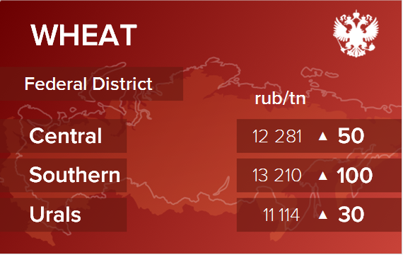 Обзор цен EXW по регионам РФ за неделю с 22 по 26 июля 2024
