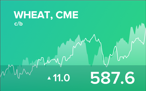 Прогноз биржевых цен на 2 июля 2024
