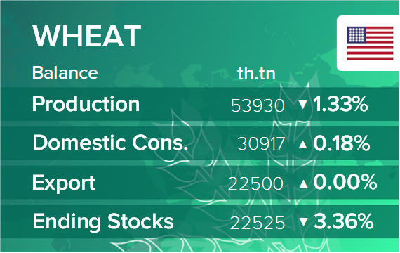 USDA. Баланс по пшенице на 14 августа 2024. США
