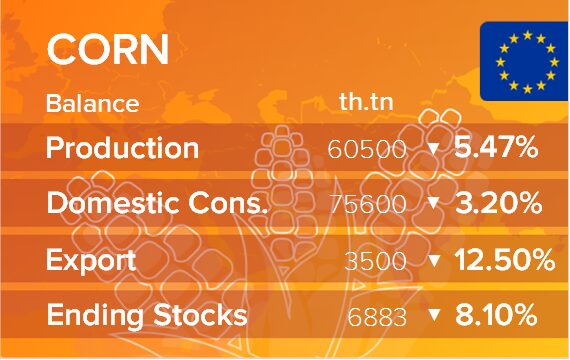 USDA. Баланс по кукурузе на 15 августа 2024. ЕС