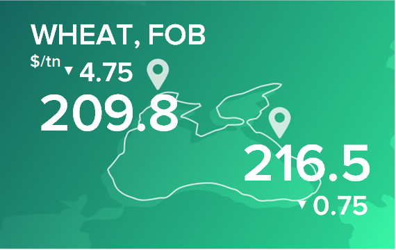 Пшеница. Цены в портах на 12 августа 2024