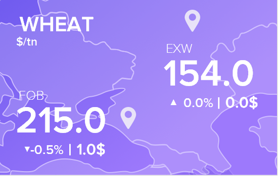 Цены FOB и EXW на 13 августа 2024. Пшеница. Кукуруза