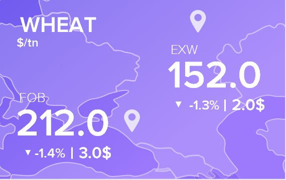 Цены FOB и EXW на 14 августа 2024. Пшеница. Кукуруза