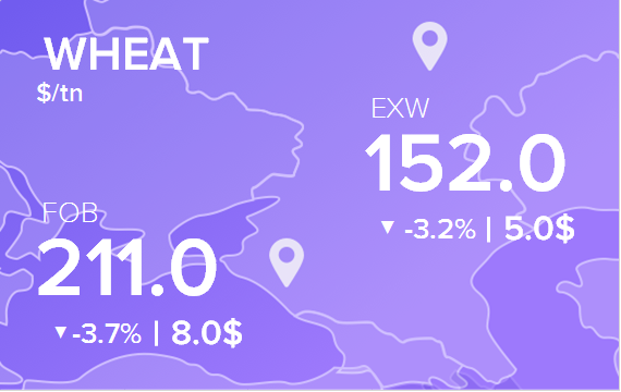 Цены FOB и EXW на 16 августа 2024. Пшеница. Кукуруза