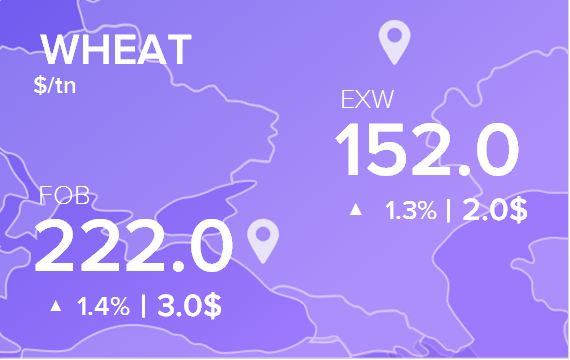 Цены FOB и EXW на 29 августа 2024. Пшеница. Кукуруза