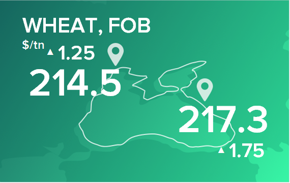 Пшеница. Цены в портах на 5 августа 2024
